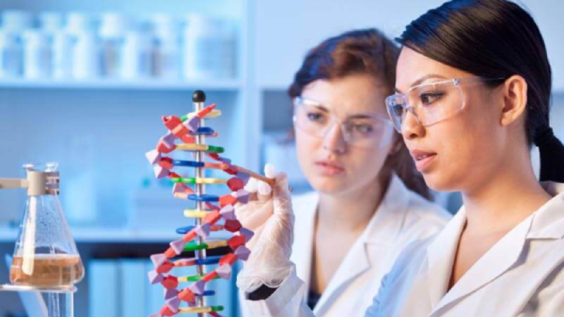 Con la alta demanda de talento STEM, aumentar la participación femenina en LATAM es más crucial que nunca Image